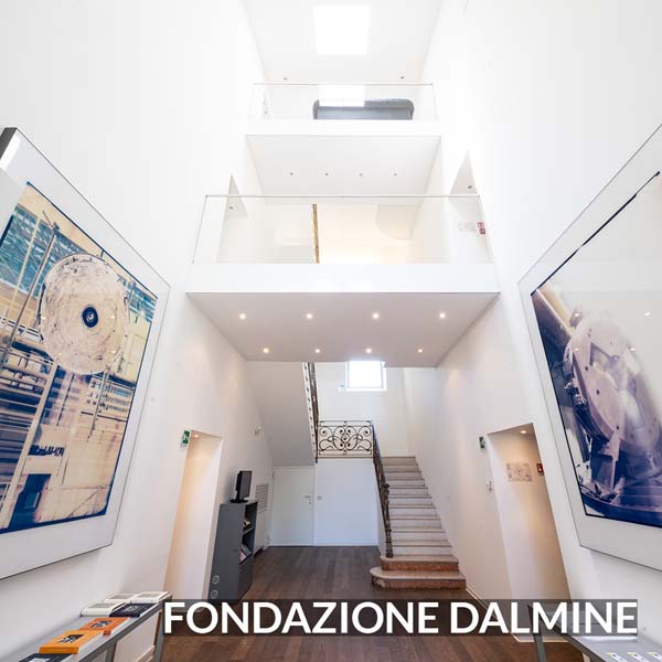 FONDAZIONE DALMINE copia